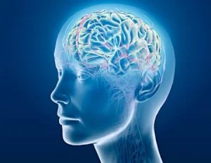 A Neurociência moderna