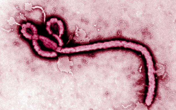 Caso de ebola deixa o país em alerta