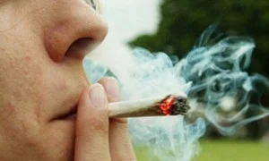 Os efeitos nocivos da maconha e o gene AKT1