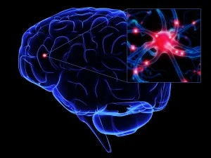 Médicos brasileiros juntam células-tronco com droga anticâncer para tratar o Parkinson