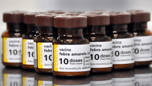 Surto de febre amarela no Brasil