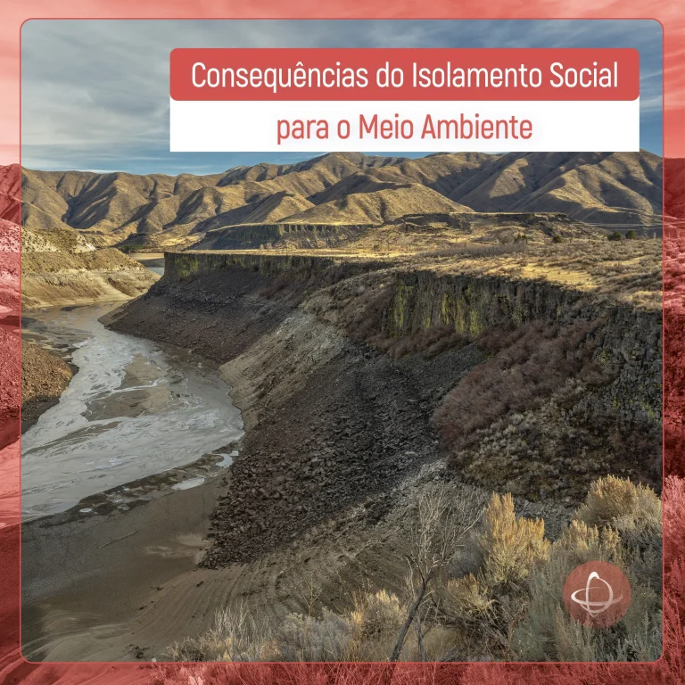 Consequências do isolamento social para o meio ambiente