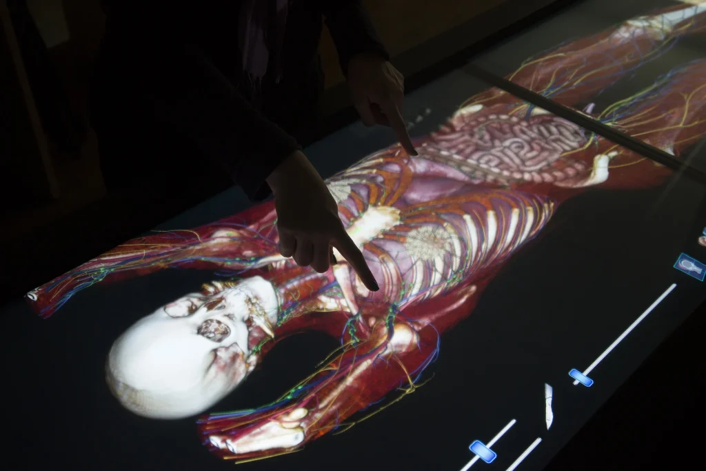 Anatomia Virtual Aplicada