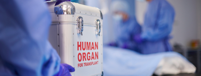 Especialização em Transplante de Órgãos Abdominais